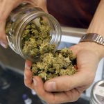 Find-Career-in-Cannabis