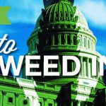 cannabis marijuana www.leafedout.com