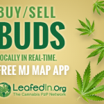 cannabis marijuana leafedout.com