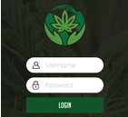 cannabis marijuana leafedout.com
