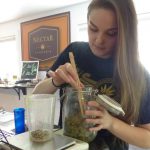 cannabis marijuana www.leafedout.com