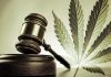 The Fight Over  U.S. Cannabis Patent Number 6630507 marijuana_legal-1