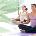 leafedout.com Regular-Yoga-Class-in-Las-Vegas-Turned-into-Weed-Yoga-Classes www.leafedout.com