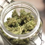 4-of-Denver’s-Electricity-is-Linked-to-the-Marijuana-Business leafedout.com