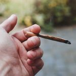 Effects of marijuana on brain leafedin