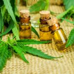 Cannabis-Infusions-–-leaefedin.org