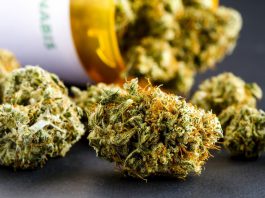 Commissioners-Vote-to-Open-Medical-Marijuana-Stores-in-Brevard-County