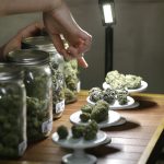 Hearing-Regarding-the-Planning-of-Marijuana-Business-Locations