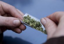 How Long Does Weed Stay in Your Body System After Using It? How-Long-Does-Weed-Stay-in-Your-Body-System-After-Using-It