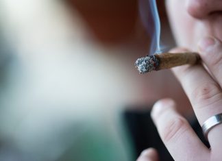 Cannabis Use Has More Risks Than Benefits, Says T. Hurd Cannabis-Use leafedout.com