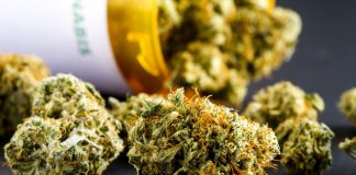 Marijuana-Edible-Cannabis-Regulations-Leafedin