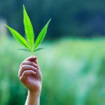 Best Networking Platform for the Cannabis Community