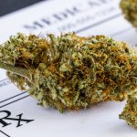 Medical Marijuana Treatment Approved in Colorado