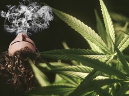 Colorado Closer to Letting Marijuana for PTSD