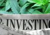 Here’s a Tip for New Marijuana Business Investors – Avoid Big Firms Here’s a Tip for New Marijuana Business Investors – Avoid Big Firms