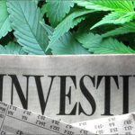 Here’s a Tip for New Marijuana Business Investors – Avoid Big Firms