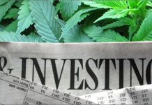 Here’s a Tip for New Marijuana Business Investors – Avoid Big Firms Here’s a Tip for New Marijuana Business Investors – Avoid Big Firms